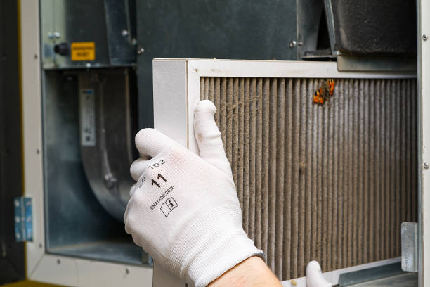Best Ductwork Cleaning Services  in Mesita, NM