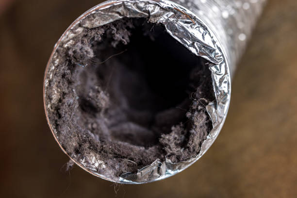 Best Professional Duct Cleaning Services  in Mesita, NM