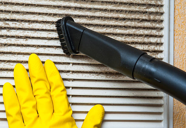 Best Commercial HVAC Duct Cleaning  in Mesita, NM
