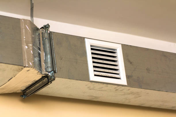 Best Air Duct Sanitizing Services  in Mesita, NM